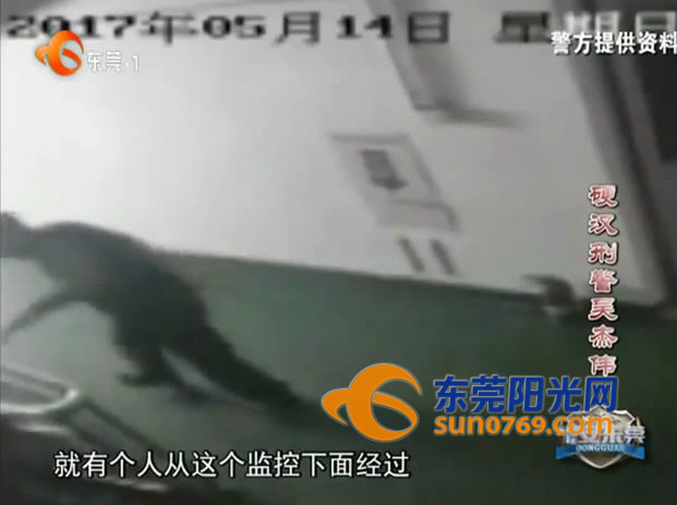 东莞公安抓获盗窃嫌疑人,2020年东莞警察抓捕盗窃案