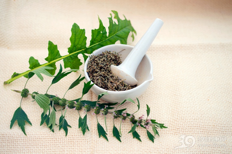 秋季正是采药季，20余种草药各有大功能！