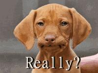 老外对中国脏话的研究,盘点老外学到的脏话