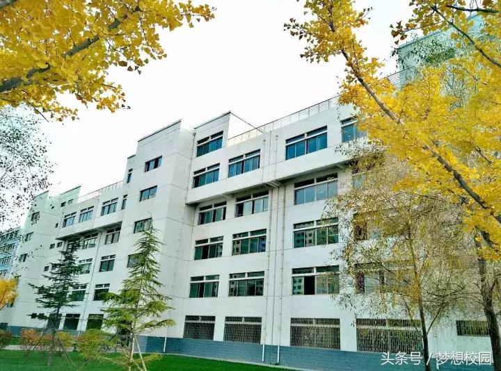 甘肃农业大学宣传片完全版,甘肃农业大学校园风景视频