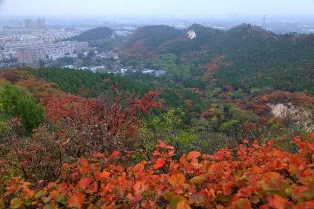 昌平公园的风景,北京昌平滨河免费公园