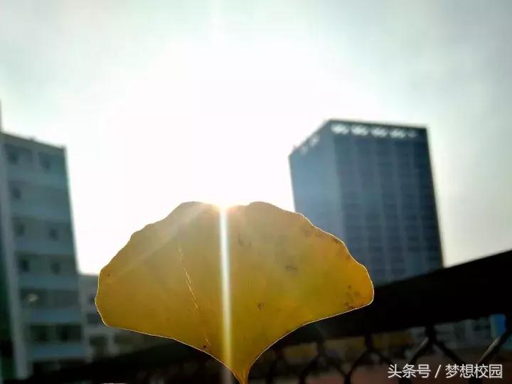 甘肃农业大学宣传片完全版,甘肃农业大学校园风景视频