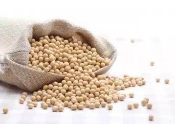 霜降节气后天气渐渐转入寒冷,霜降到来天气冷