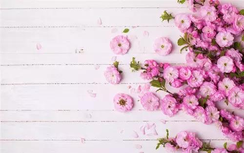 掌握220个高频词,单词熟词生义