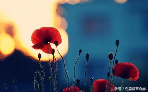 妈妈整理英语单词,幼儿英语单词爸爸妈妈