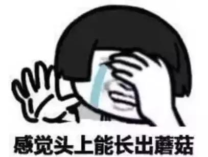 云溪00后“球星”都在这里！海量照片带你回顾云溪区2017年中小学生球类运动会！