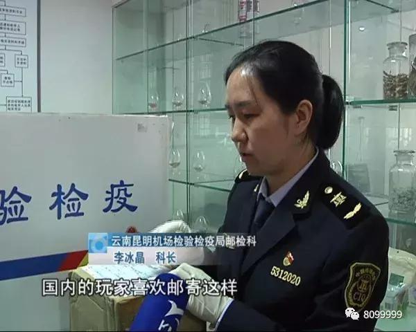 海关截获进境邮包,跨境包裹海关检疫管理办法