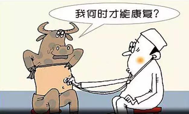 当你学会写文章之后能够这样赚钱,当你学会了炒股