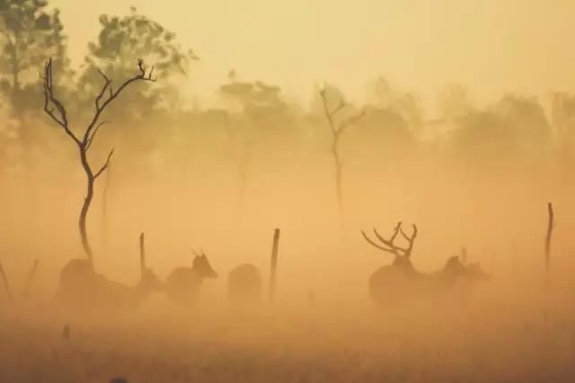 一个90后摄影师,一个90后的摄影师