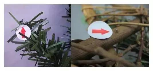 圣诞快到了要什么礼物,圣诞节什么时候开始准备圣诞树