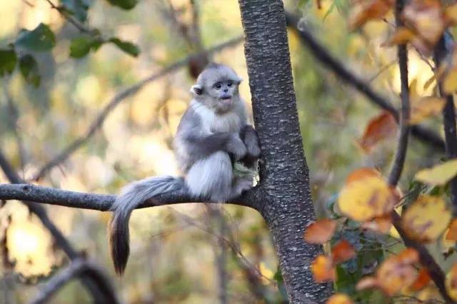 一个90后摄影师,一个90后的摄影师