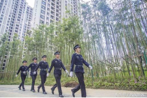 十张图让你看清,十张让你感动的图片