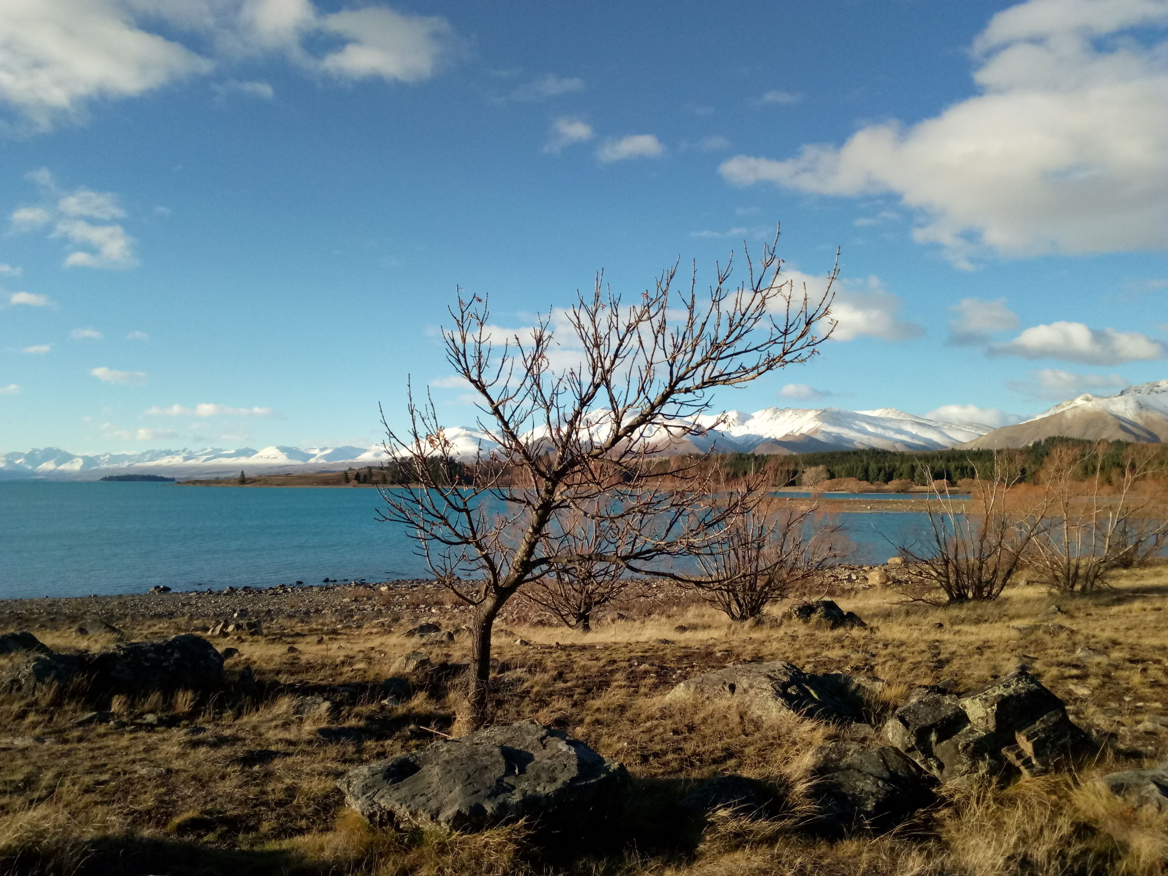 新西兰旅游自由行最佳路线攻略,新西兰纯净之路