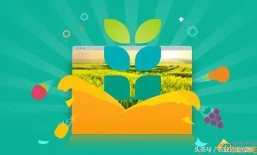 专访｜农发贷CEO杨世华：未来农村金融市场前景广阔！