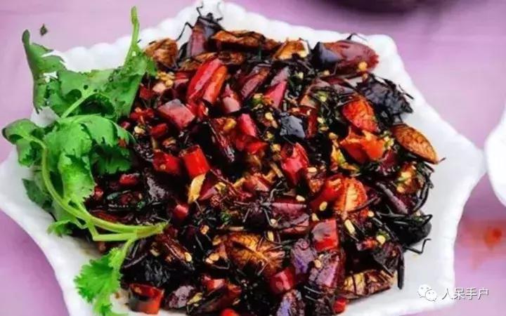 奇特的昆虫美食,史上最恶心的昆虫美食