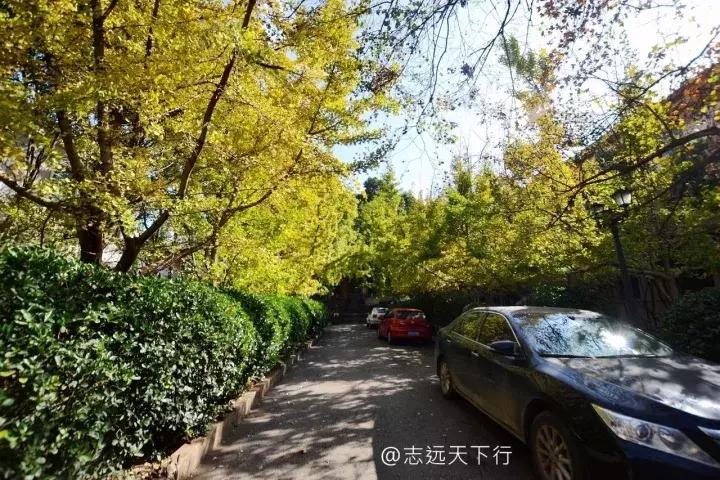 最美高校合集,最美211云大