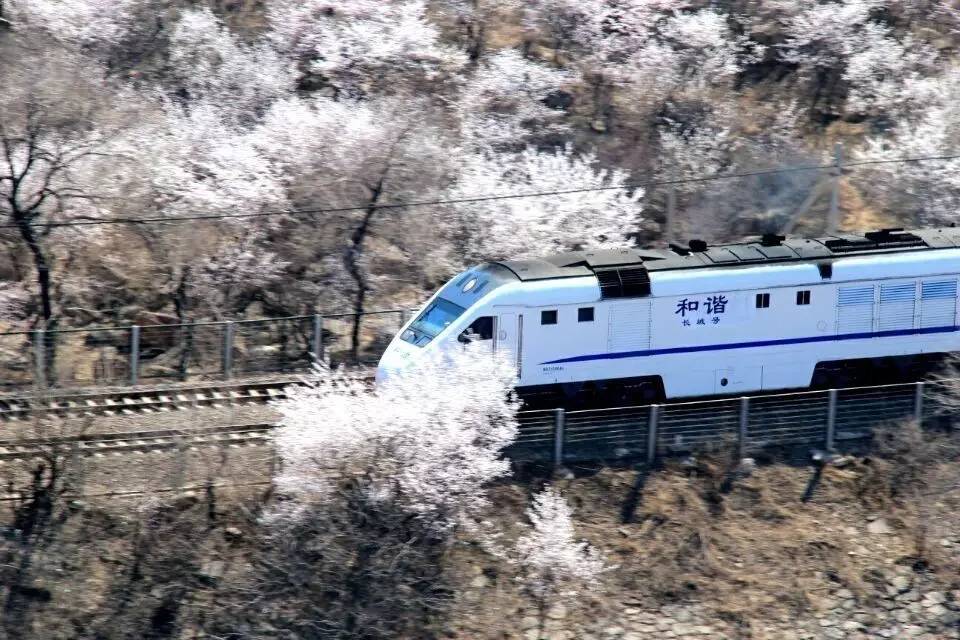 开往春天的列车图片唯美,开往春天的列车看图文章