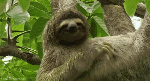 旁友，你能够用文艺的方式做内容，但不能用文艺的态度做生意啊