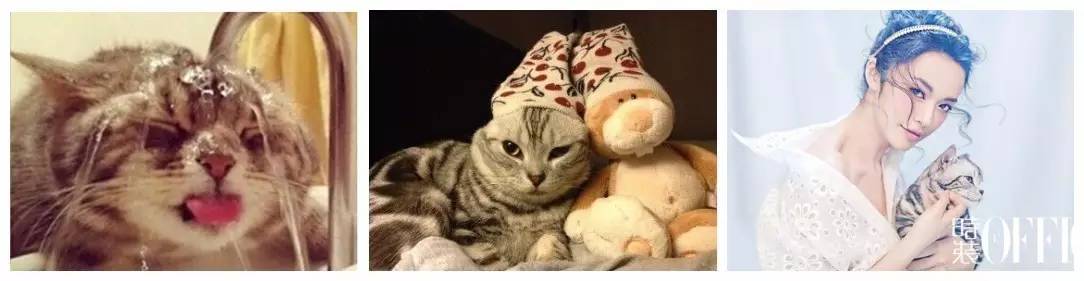 盘点那些不露脸长得很好看的网红,那些头像丑到爆的网红