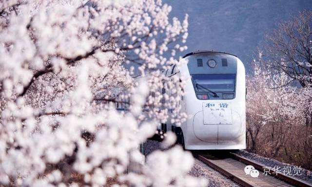 开往春天的列车图片唯美,开往春天的列车看图文章