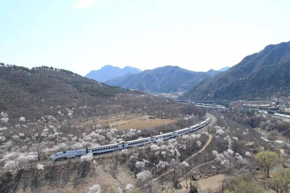 开往春天的列车图片唯美,开往春天的列车看图文章