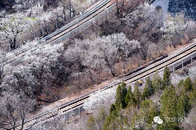 开往春天的列车图片唯美,开往春天的列车看图文章