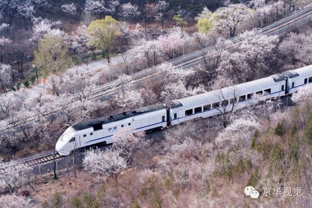 开往春天的列车图片唯美,开往春天的列车看图文章