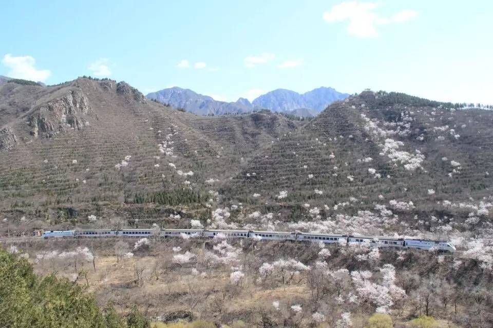 开往春天的列车图片唯美,开往春天的列车看图文章