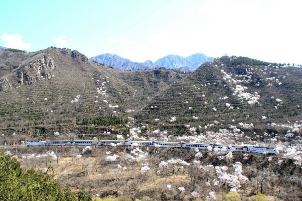 开往春天的列车图片唯美,开往春天的列车看图文章