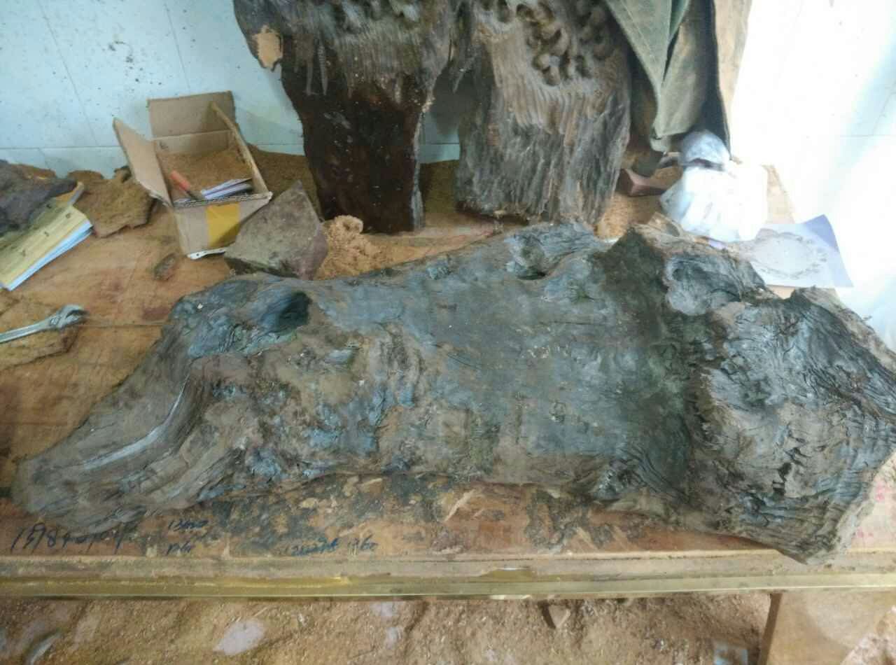 大雨冲来的一块乌黑嘛漆的乌木，原来是茶盘料。