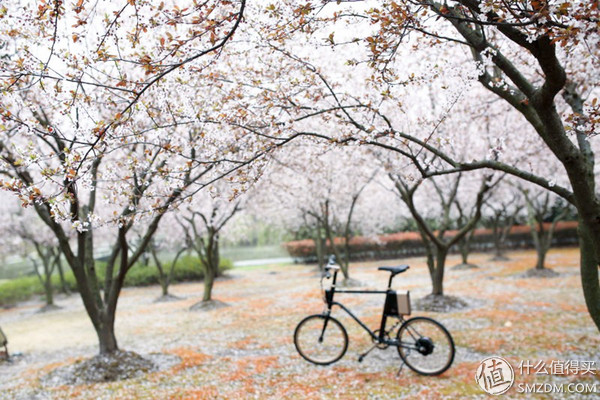 春风十里，不如“云马”载你：云马电单车C1体验