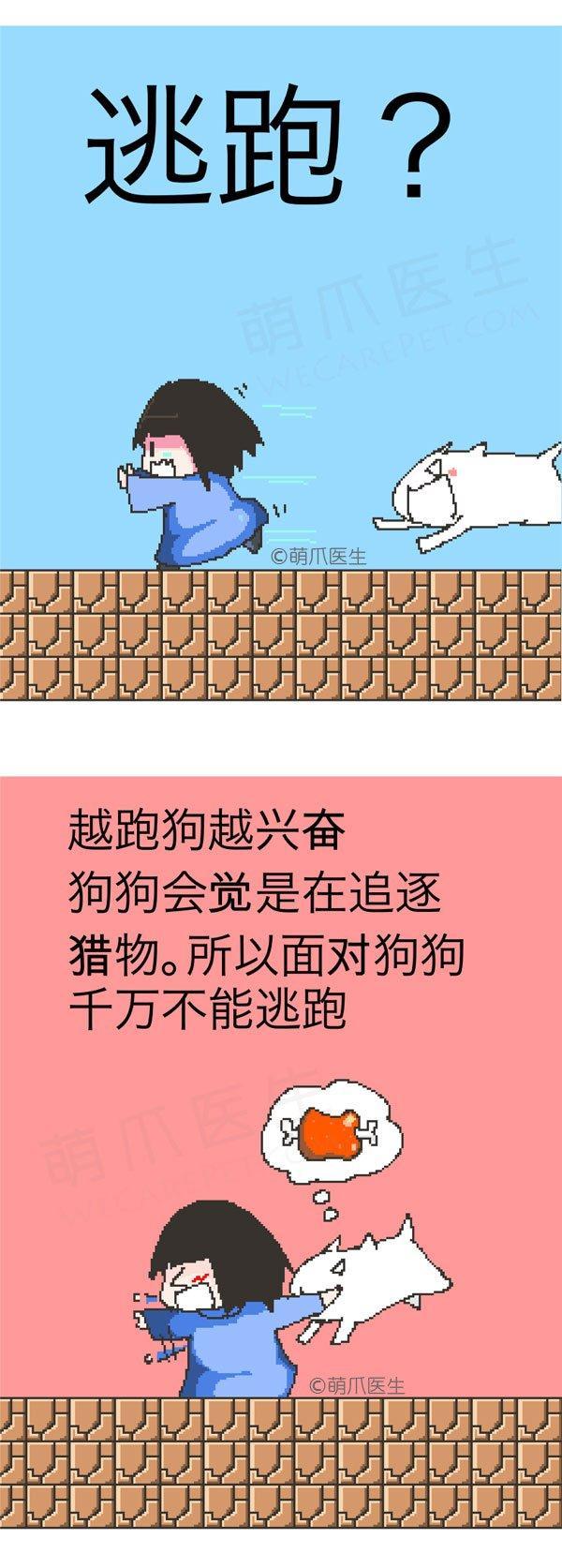 遇到狗狗攻击怎么办,遇到狗攻击人怎么自救卡通