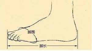 崔玉涛谈宝宝走路时间,崔玉涛谈宝宝需要补什么