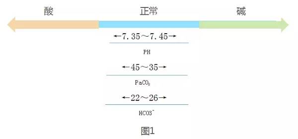 酸碱中毒四种类型的判断口诀,呼吸性酸碱中毒的判断