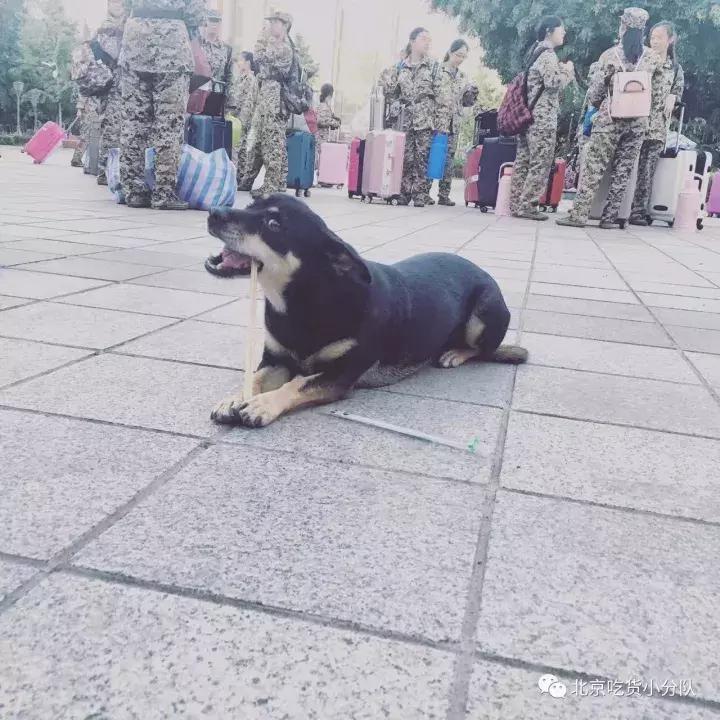 首经贸最大的食堂是什么,首都经贸大学第一食堂