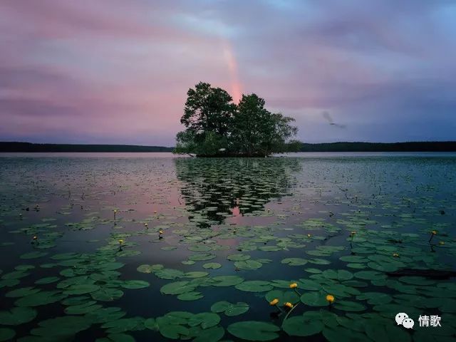 手机摄影教程丨手机摄影系列课程几款APP瞬间让照片提升几个档次