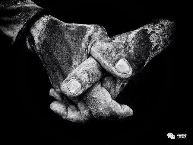 手机摄影教程丨手机摄影系列课程几款APP瞬间让照片提升几个档次