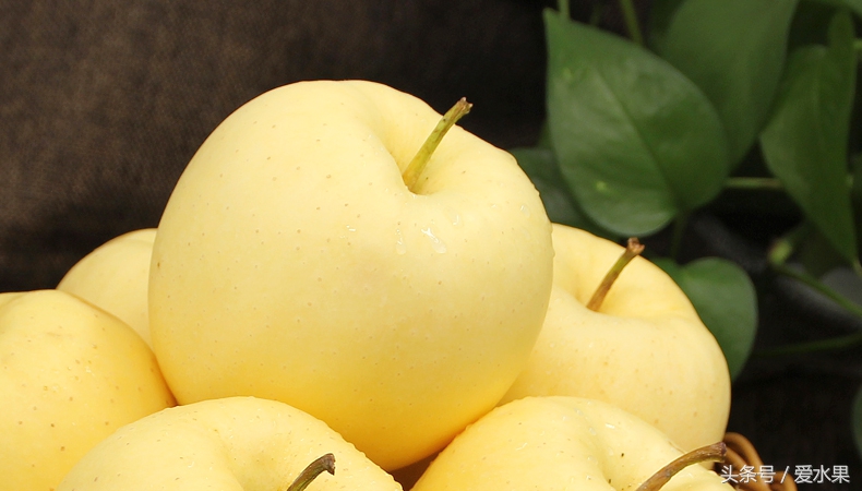 黄元帅苹果图片,甘肃黄元帅水果