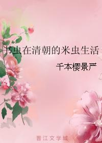 6本超好看的清穿小说推荐,清穿小说推荐18本必看的清穿文