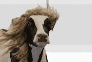 十大良心酸奶排行榜测评,超市里好喝的酸奶推荐