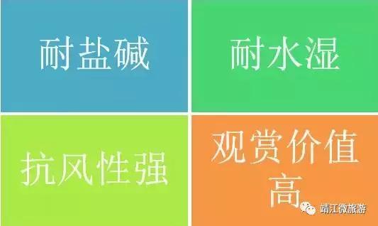 微靖江是哪个城市,江苏泰州靖江牧城公园四周风景好