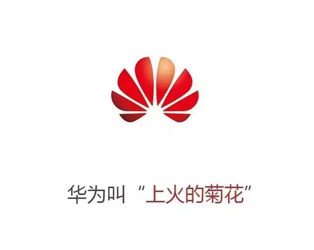 说到金拱门你会想到是麦当劳吗,麦当劳和金拱门的差别在哪