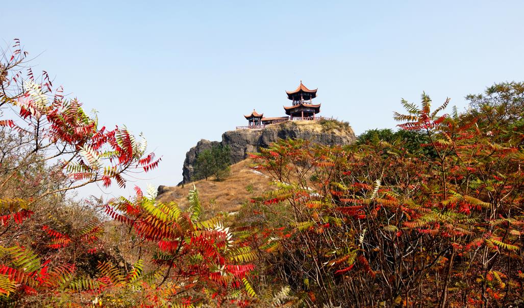 滨州本地春季最值得去的十个景点,滨州秋景最佳地方