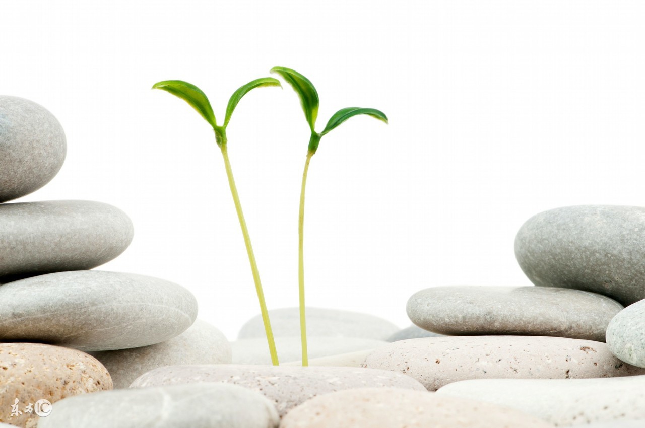 乙肝治愈的基因疗法,乙肝病人增加免疫力的中药调理方