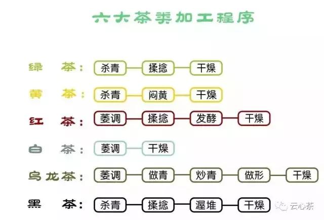六大茶系的分类和特点,中国七大茶系的分类