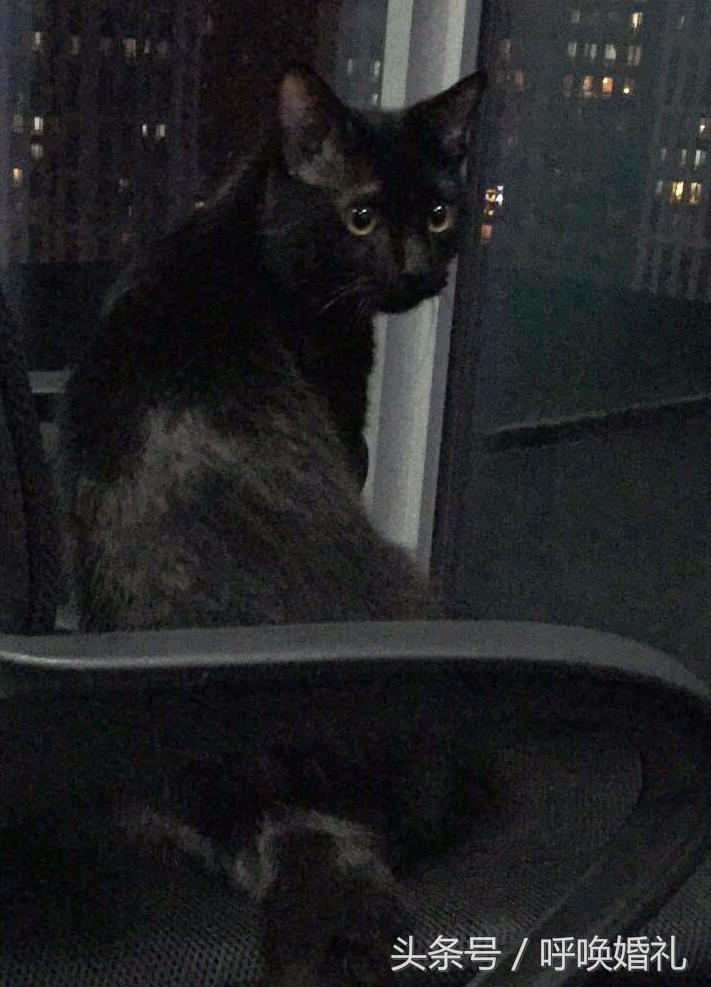 合适圆脸万圣节妆容教程,万圣节搞笑妆容教程