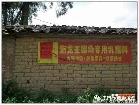 海大通威新希望六和,海大新希望通威饲料