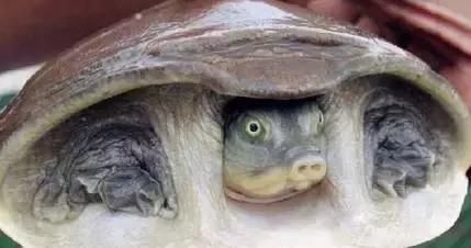 西安囧字楼,西安囧字楼名单