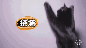 合适圆脸万圣节妆容教程,万圣节搞笑妆容教程