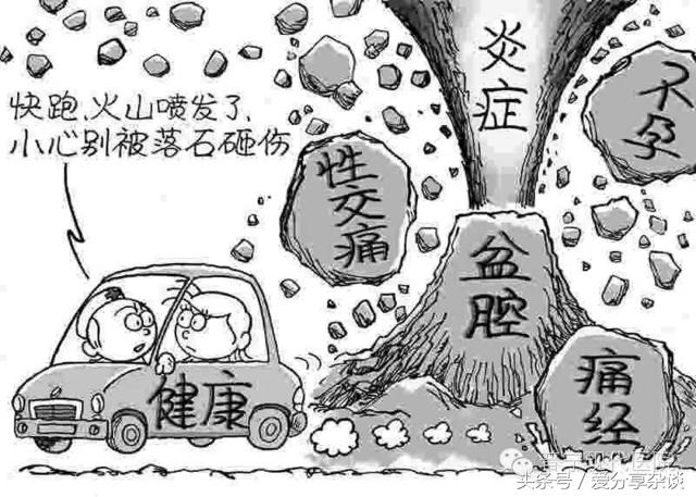 白果治妇科病是真的吗,白果煮鸡蛋治妇科病一天几次